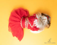 Load image into Gallery viewer, Embellished Red Chanya Choli For Dogs