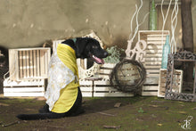 Load image into Gallery viewer, Floral Flap Kurta