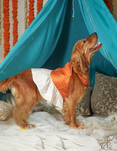 Load image into Gallery viewer, Halter Neck Fish Cut Emroidered Dress