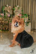 Load image into Gallery viewer, Black Peplum Dress With Pearl Belt
