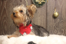 Load image into Gallery viewer, Christmas Reversable Bandana