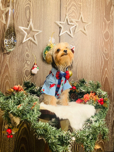 Journey To Santa Land Suspender Shirt With A Bow