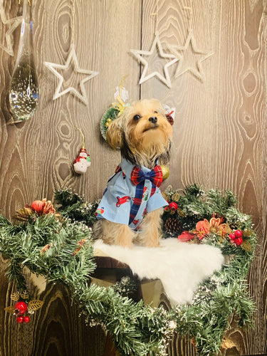Journey To Santa Land Suspender Shirt With A Bow