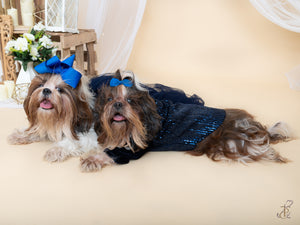 Blue Shawl Collar Sequin Tuxedo With A Bow