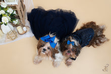Load image into Gallery viewer, Blue Shawl Collar Sequin Tuxedo With A Bow