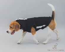 Load image into Gallery viewer, Everyday Hoodie Dog Tshirt