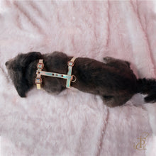 Load image into Gallery viewer, TPC Iridescent Harness