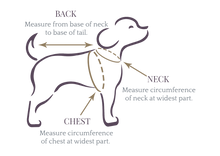 Load image into Gallery viewer, TPC Olive Green Turtle Neck T-Shirt