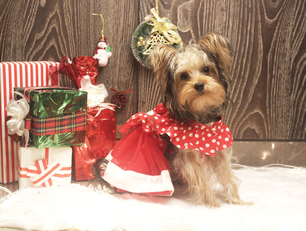 Snowy Angel Polka Dot Ruffled Dress With A Bow