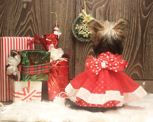 Snowy Angel Polka Dot Ruffled Dress With A Bow
