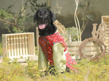 Load image into Gallery viewer, Asymmetric Pleated Red Patola Koti With Classic Kurta