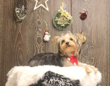 Load image into Gallery viewer, Christmas Reversable Bandana