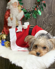 Load image into Gallery viewer, Santa Female Costume for dogs