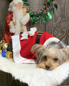 Santa Female Costume for dogs