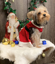 Load image into Gallery viewer, Santa Female Costume for dogs
