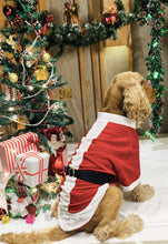 Load image into Gallery viewer, Santa Male Costume for dogs