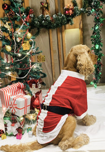 Santa Male Costume for dogs