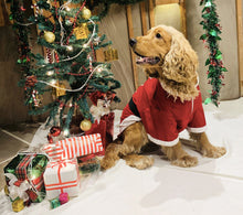 Load image into Gallery viewer, Santa Male Costume for dogs